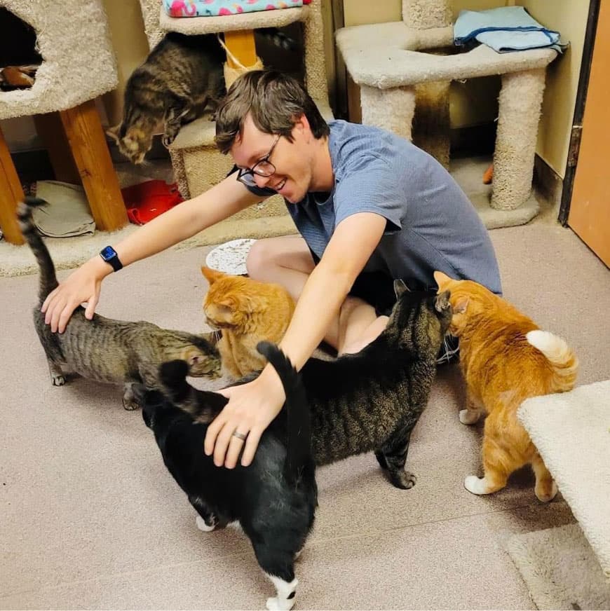 Vrijwilliger met katten